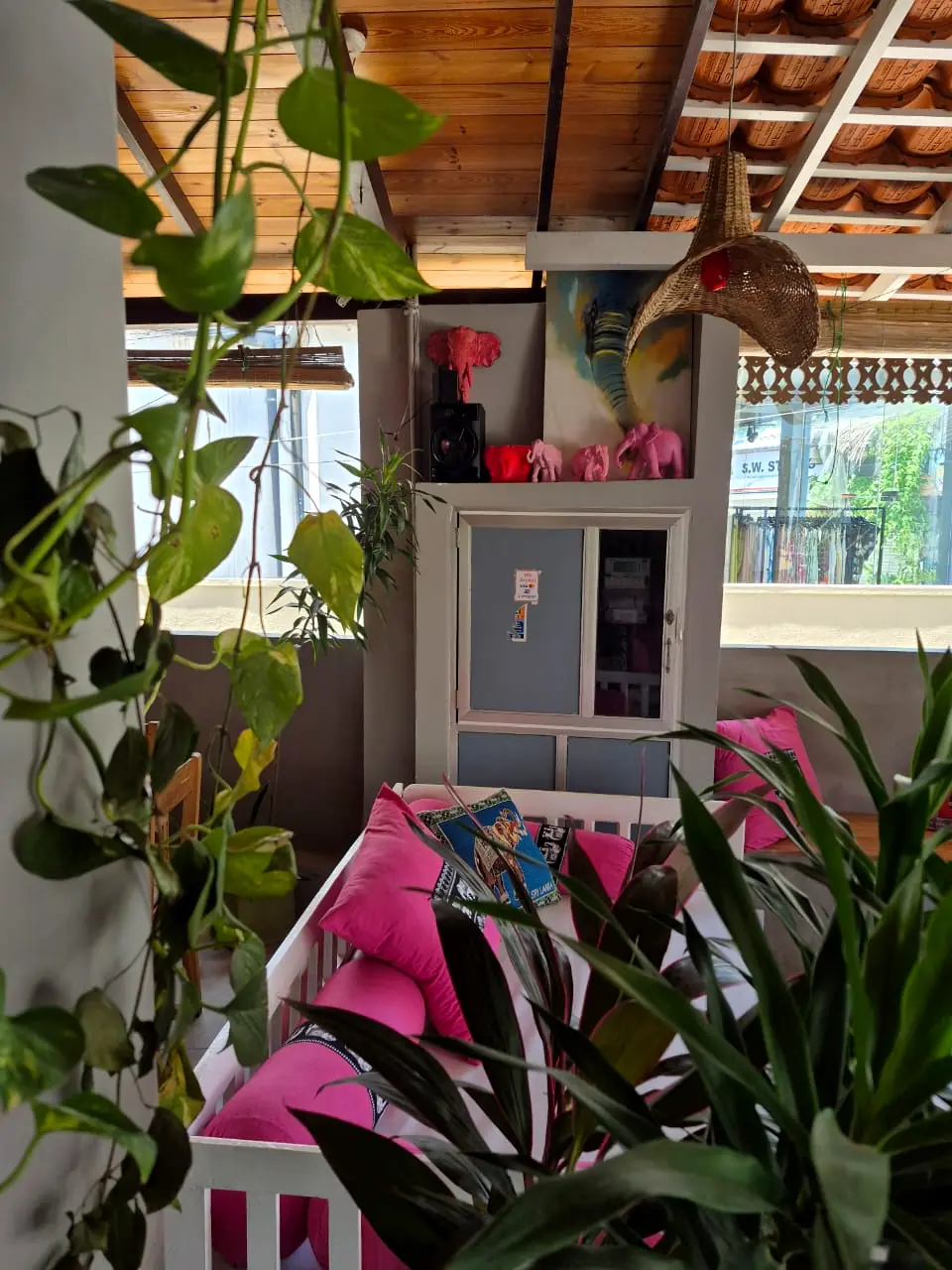 Leafy plants and a pink sofa inside the Pink Elephant lounge